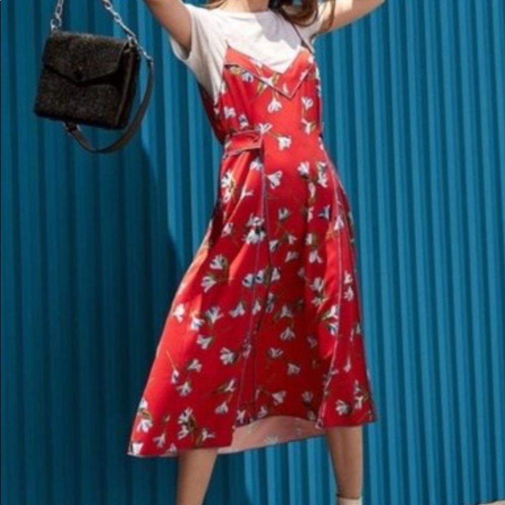 Rag and bone Hugo Floral Dress In Redflr